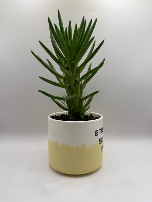 Emotional Support Plant