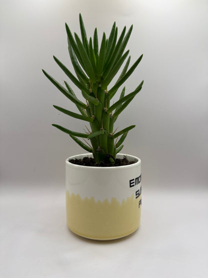 Emotional Support Plant