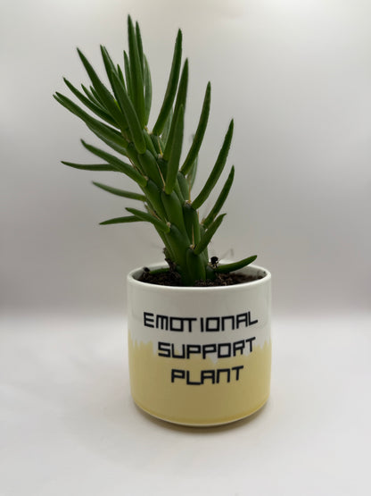 Emotional Support Plant