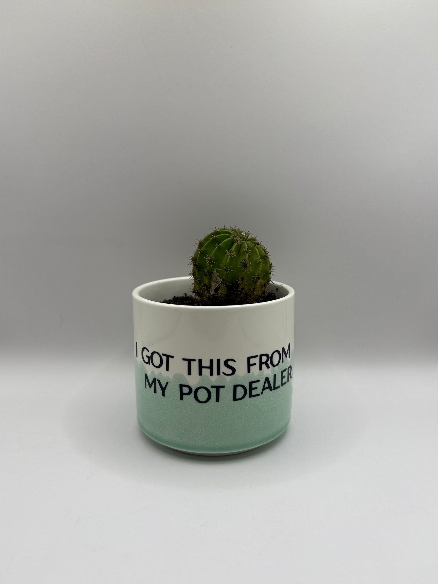 Pot Dealer
