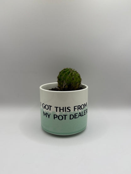Pot Dealer